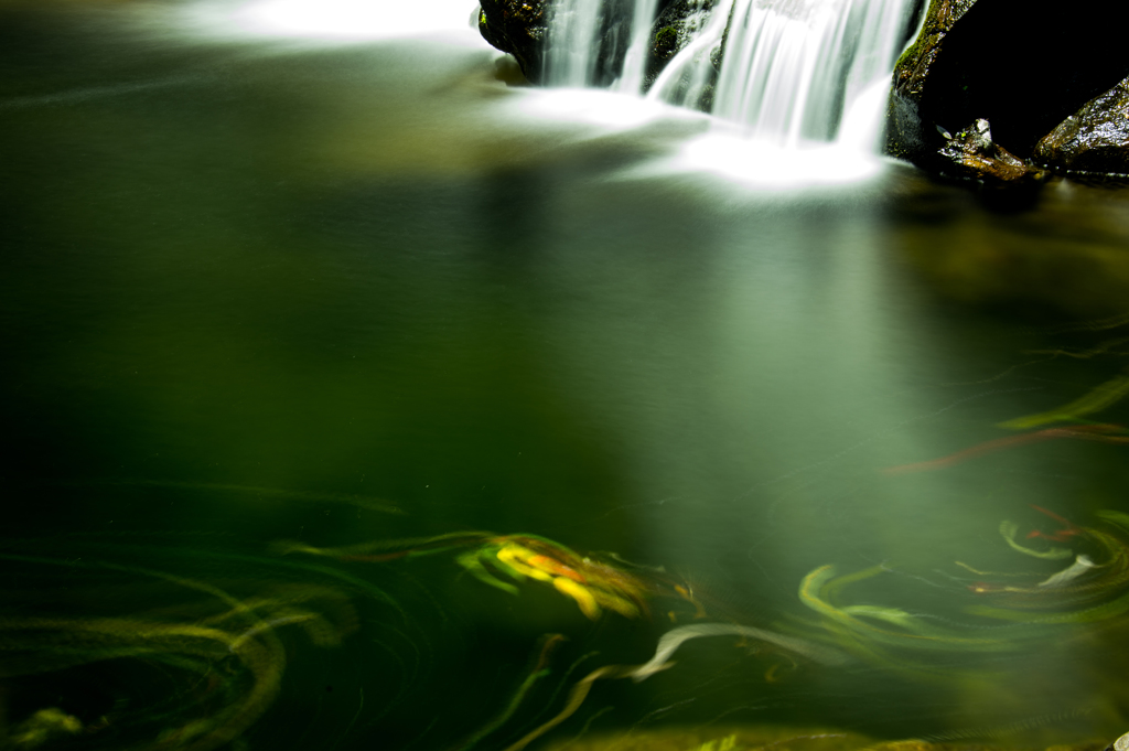 落ち葉の舞　Ⅱ