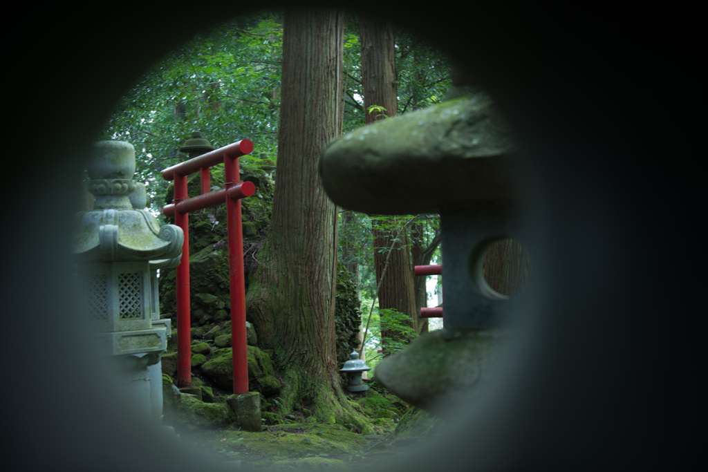 覗いて見ました