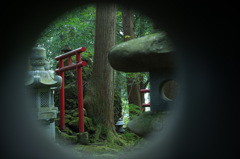 覗いて見ました