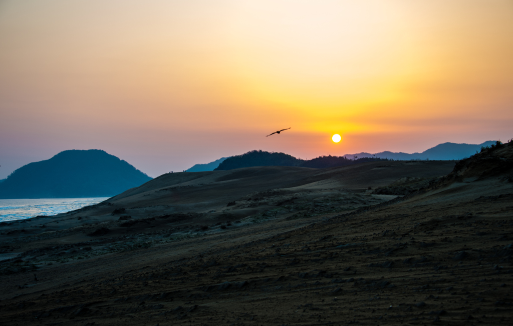急に飛んでくるなよー(-_-;)