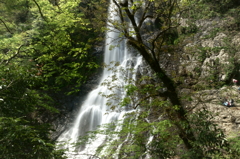 天滝溪谷　天滝