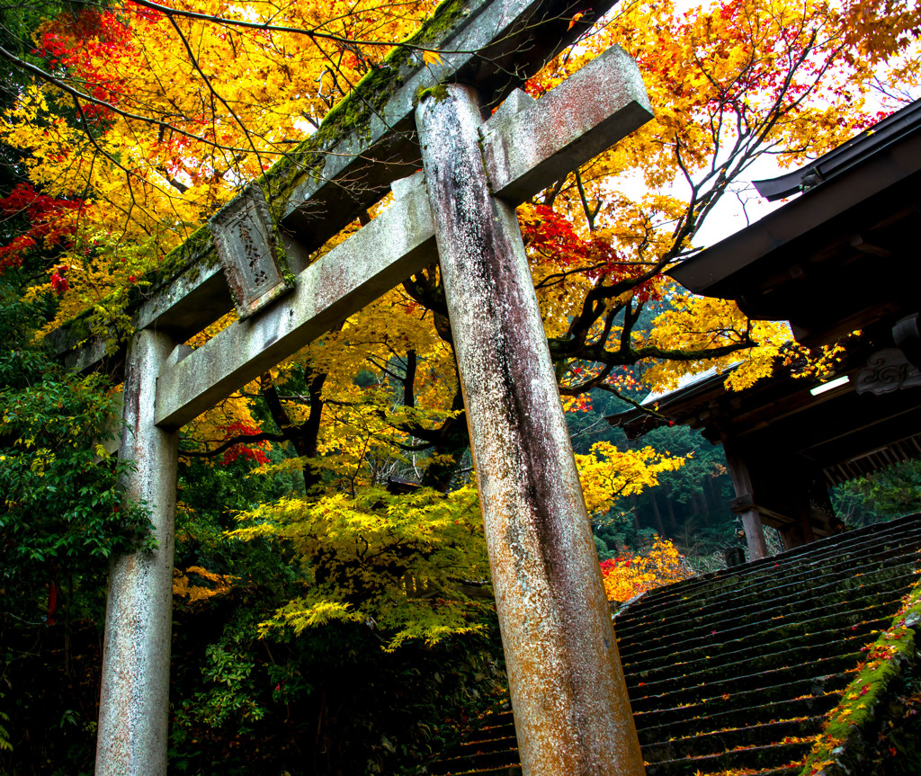 ロケハン　明日行ってきます　３