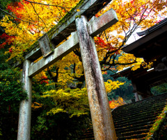 ロケハン　明日行ってきます　３