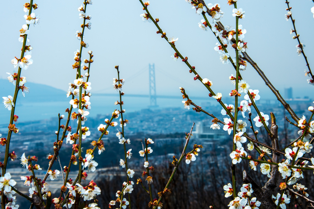 遠征帰宅途中の寄り道