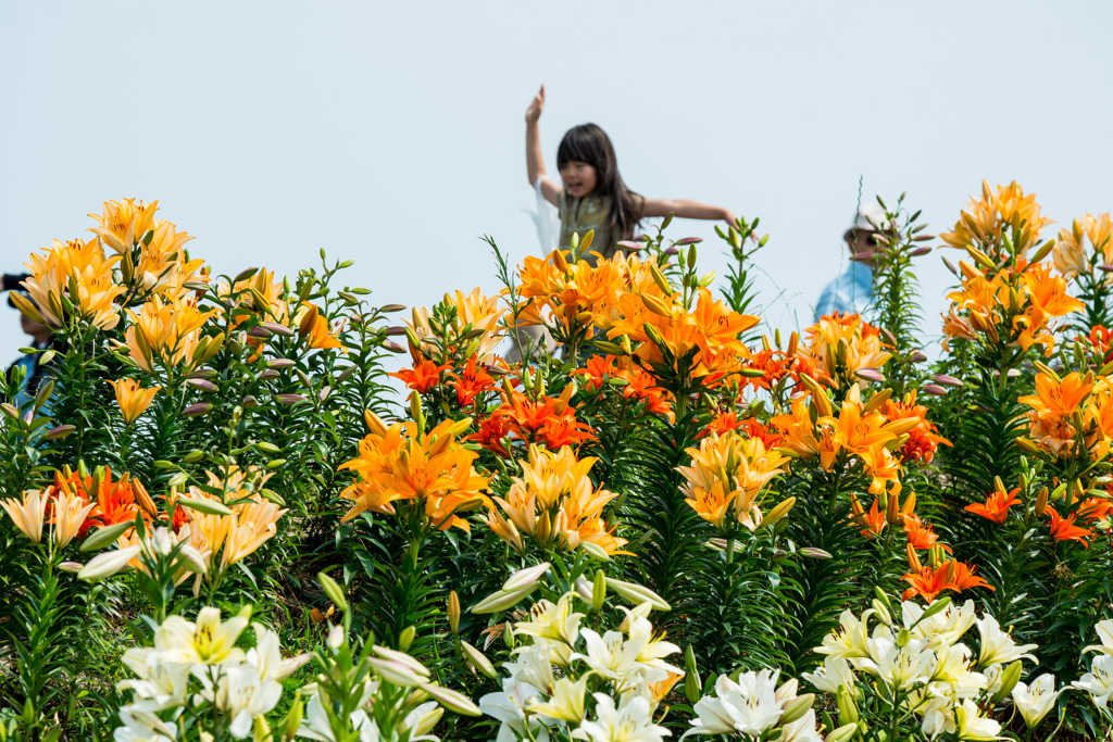 ワーイ　楽しいなー