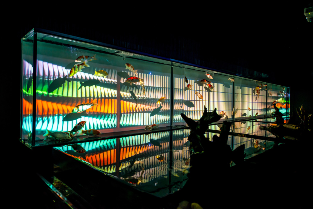 アートアクアリューム　２０１４大阪