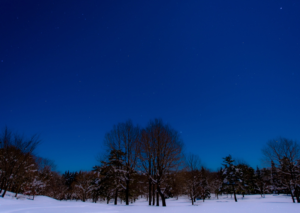 月夜に広がる空