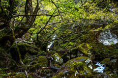 いにしえからの手紙