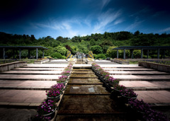 花咲く　エリア