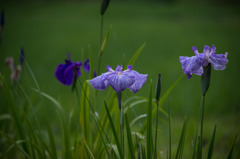 明日は晴れるかな？