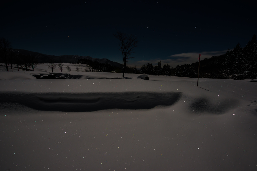 月夜に舞う寒蛍