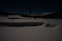 月夜に舞う寒蛍