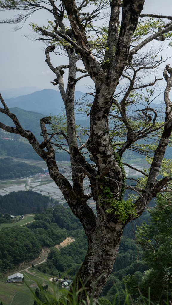 神鍋高原