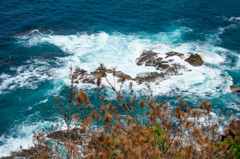 ゴールデン　ウイーク最後、かるーく流して終了編