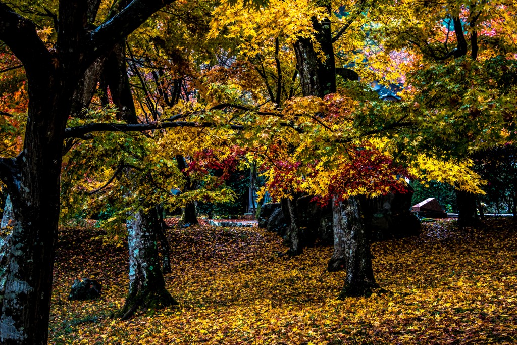 ロケハン　明日行ってきます　１