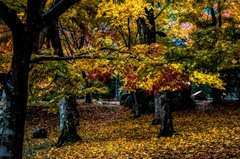 ロケハン　明日行ってきます　１