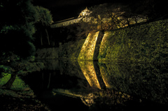 天守閣の映り込み