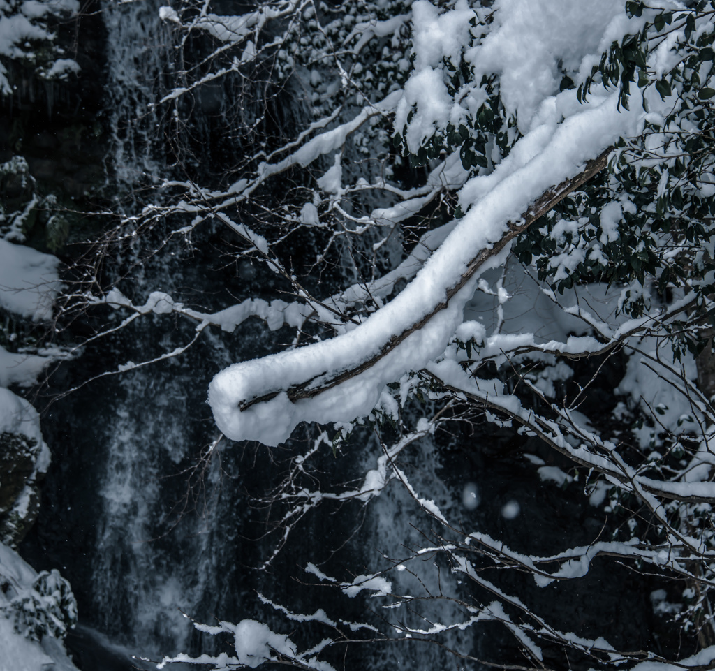 背景にあるもの