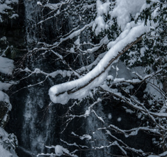 背景にあるもの