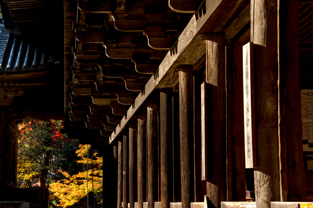 ラスト侍の余韻