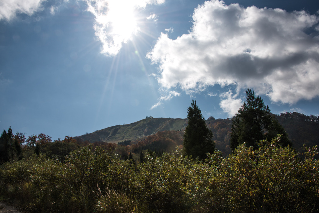 大幹線林道　３