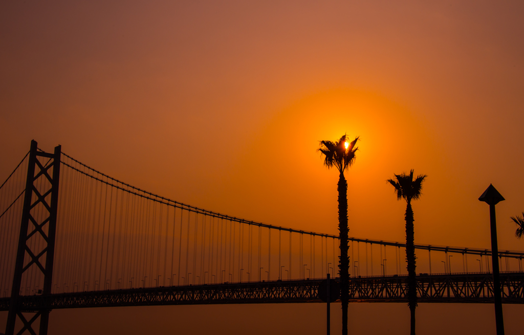 遠征帰宅途中の寄り道