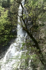 天滝溪谷　天滝