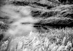 今日の砥峰高原