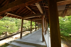 東福寺