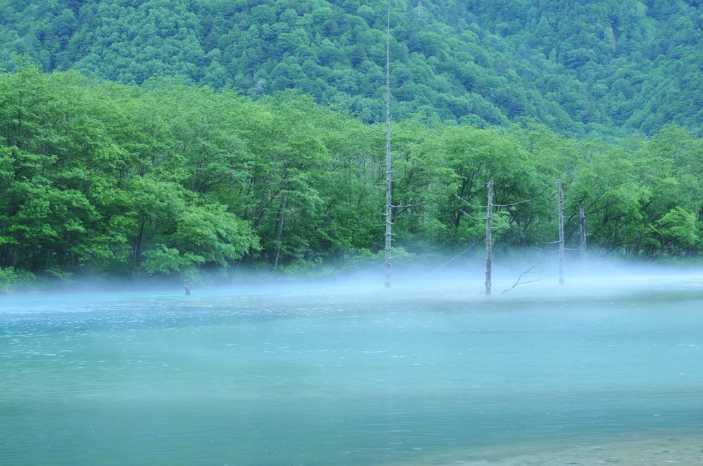 大正池その6