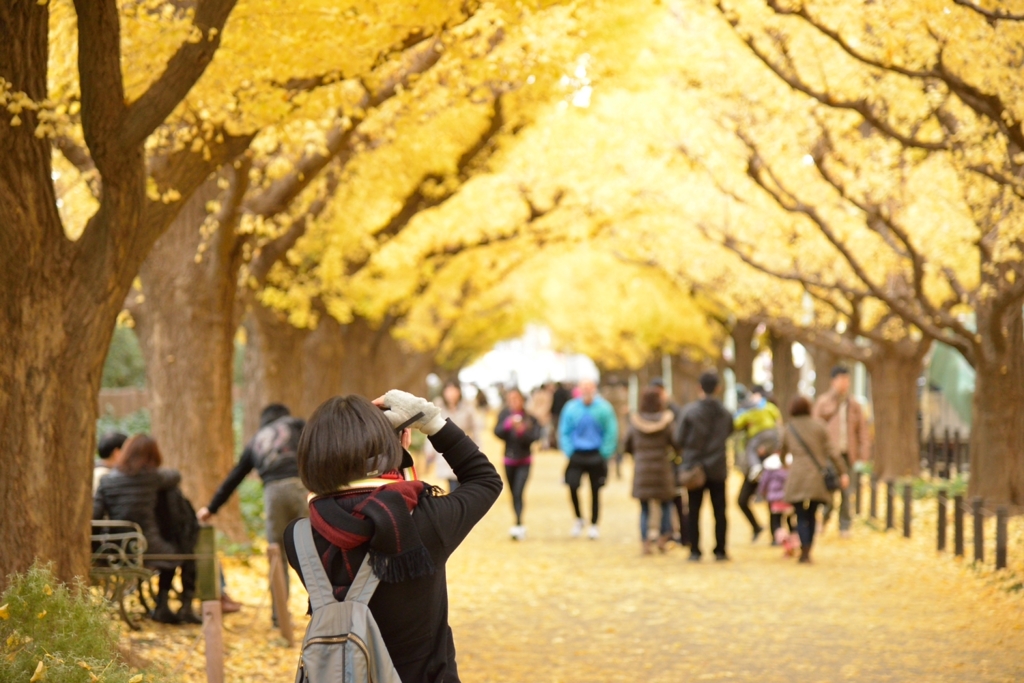 銀杏並木にて　その2