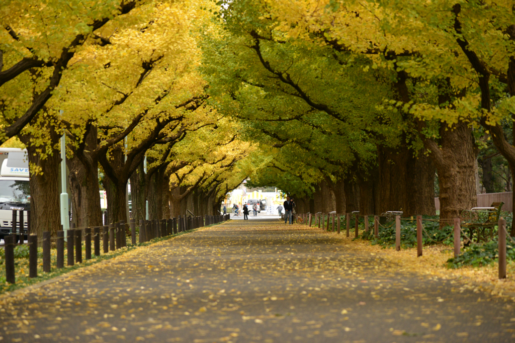 明治神宮外苑　その2