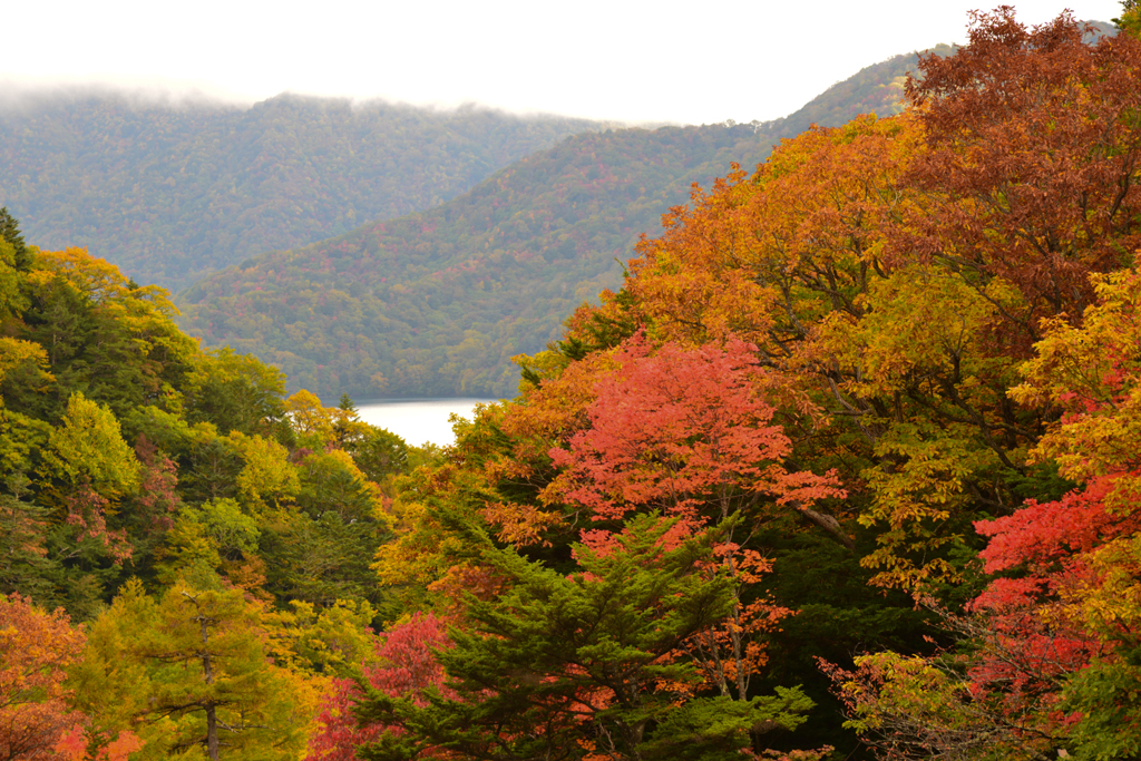 日光へ紅葉下見