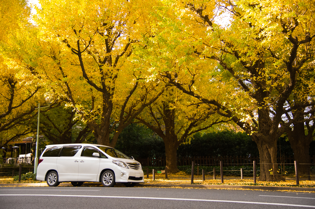 明治神宮外苑　その９
