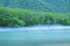 大正池その9