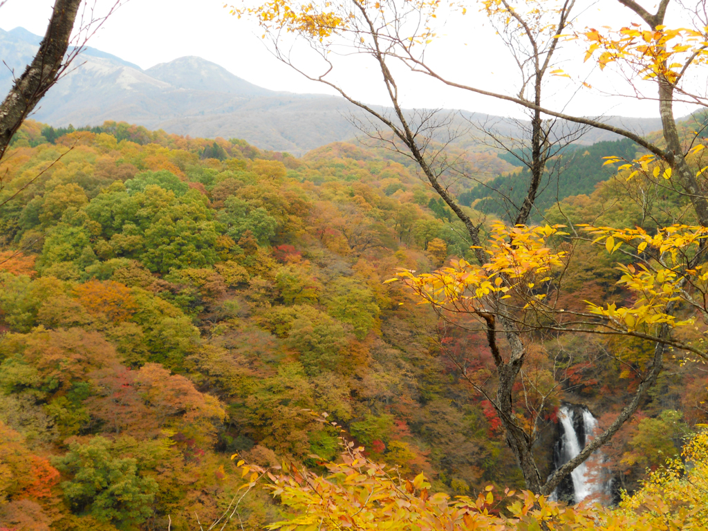 霧降の滝