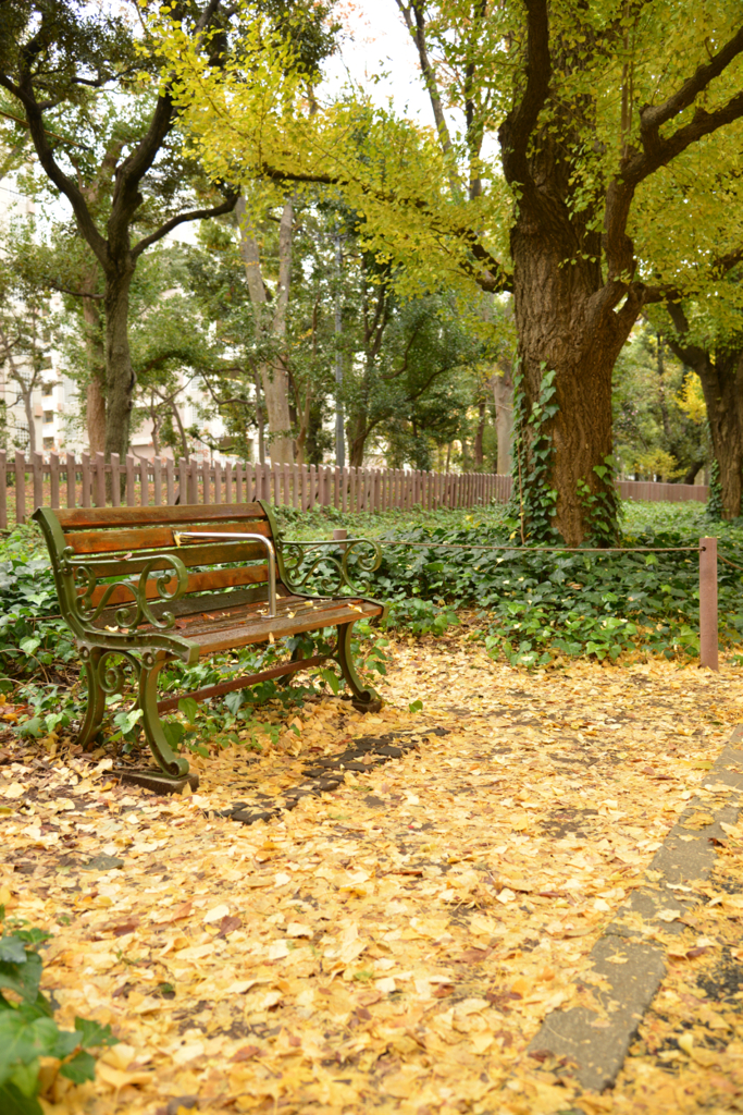 明治神宮外苑　その１