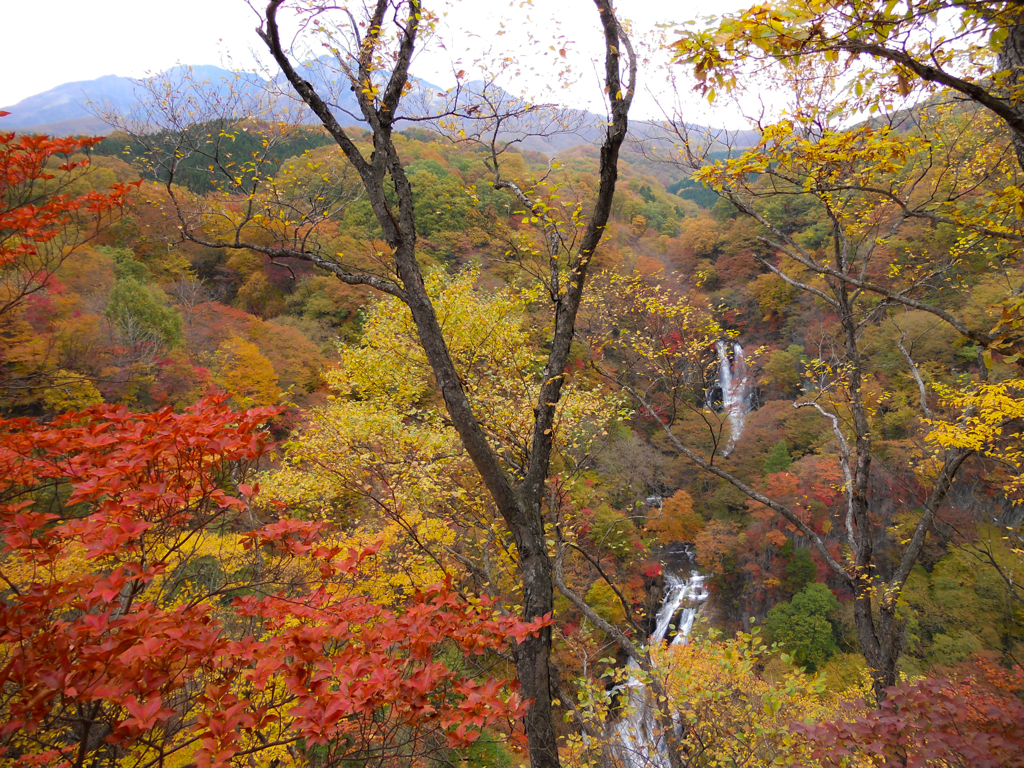 霧降の滝