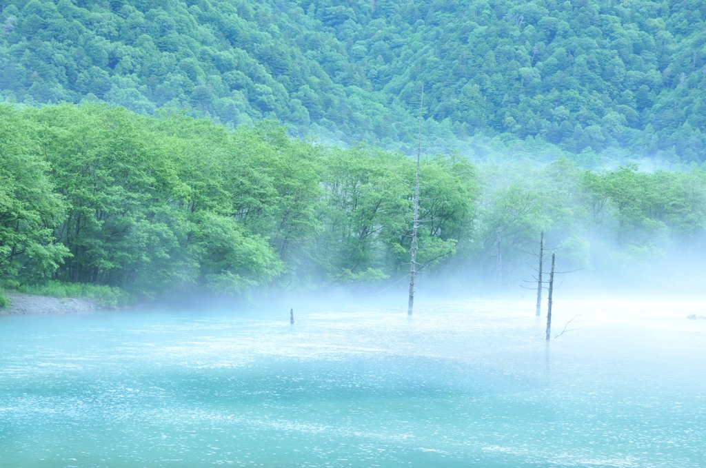 大正池その5