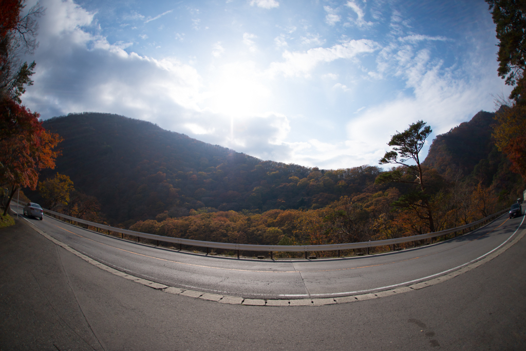 ブ～～～ン・・・