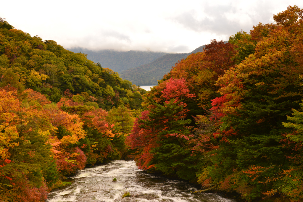 日光へ紅葉下見（・∀・）