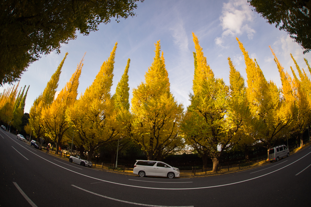 明治神宮外苑　その１０
