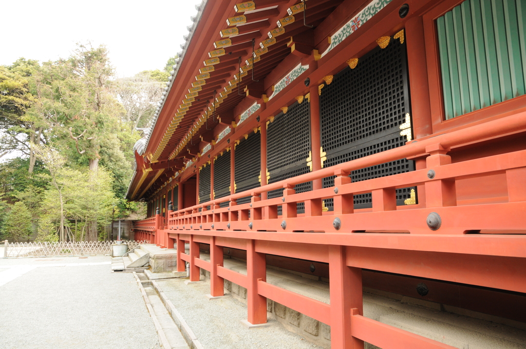 鶴丘八幡宮にて