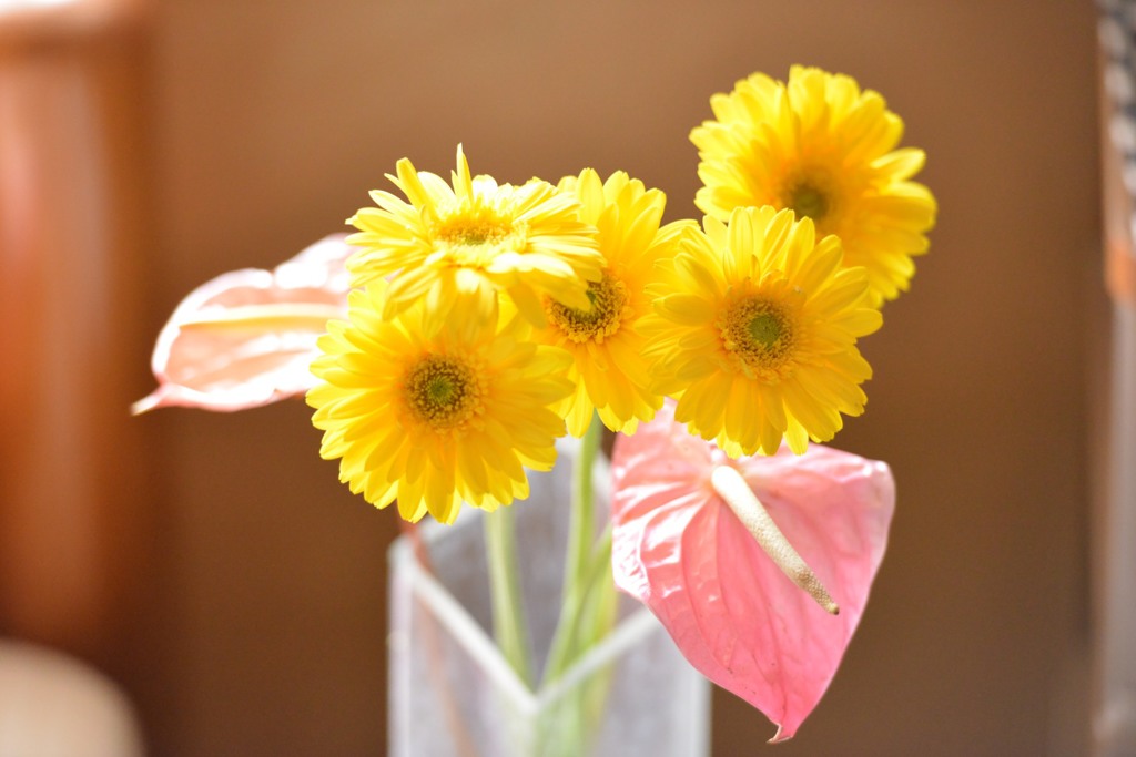 花撮り