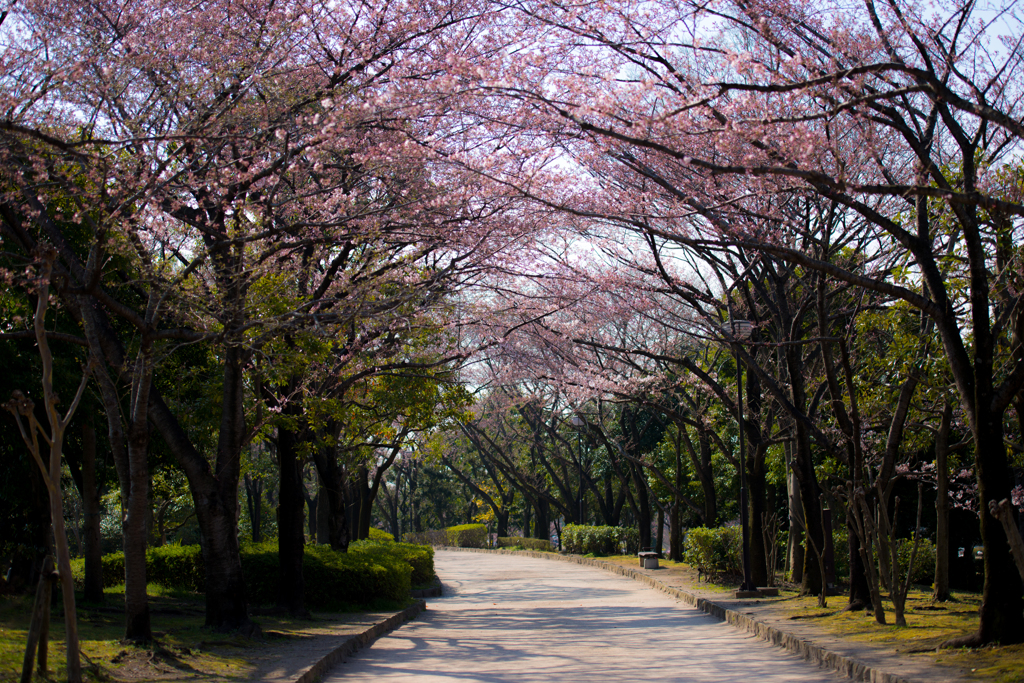 公園内にて