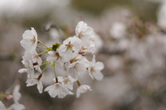 鶴丘八幡宮にて