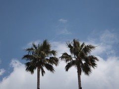 DSCF0325