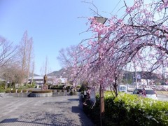 土成町中央公園