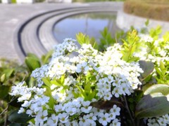 DSCF0393