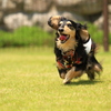 RUN!RUN!! ①